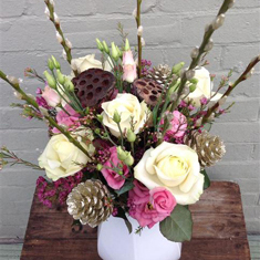 Jingle Bells Pink Aquabox