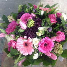 Ladies Spring Aqua Box