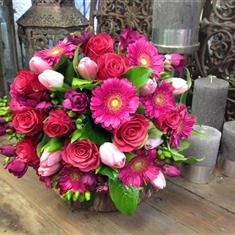 Pretty in Pink AquaBox