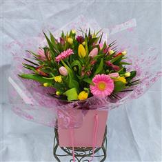 Tulip lover