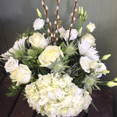 White Winter Aquabox