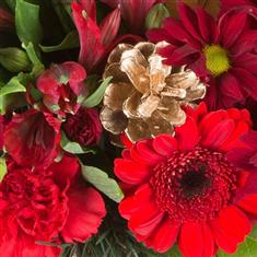 Seasonal Florist Choice Aquabox