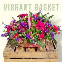 Vibrant Basket