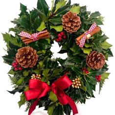 Holly Wreath