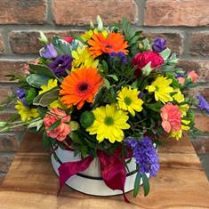 Hat box - vibrant
