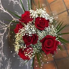 Six Red Roses Gyp ht