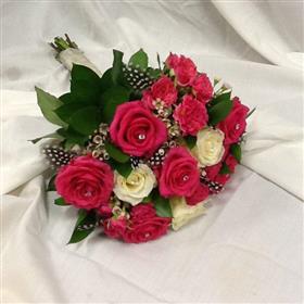 fwthumbIMG_0521-720x720.jpg